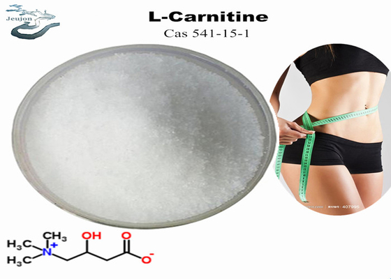 Produits cosmétiques matières premières R L Carnitine poudre pour la perte de poids CAS 541-15-1 poudre pour brûleur de graisse du ventre