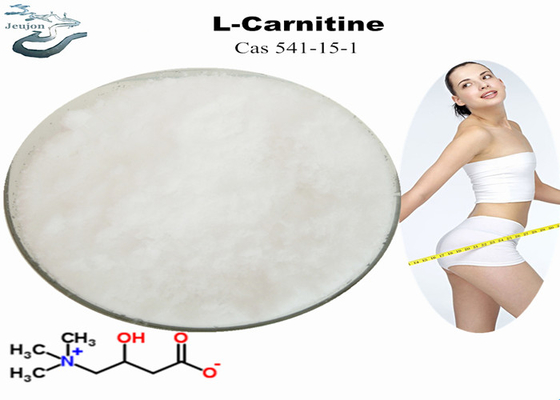 Médicament L poudre CAS 541-15-1 de brûleur de BT de vitamine de perte de poids gros de carnitine