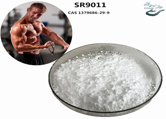 SR9011 Sarms poudre de gym pour brûler les graisses CAS 1379686-29-9 Supplément de musculation